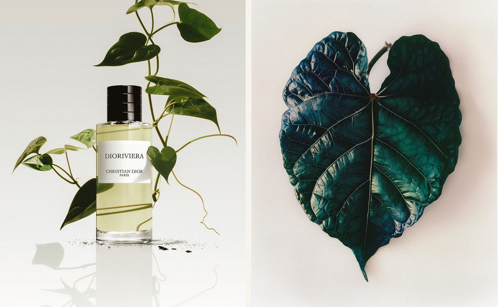  Cowboys agency Paris 