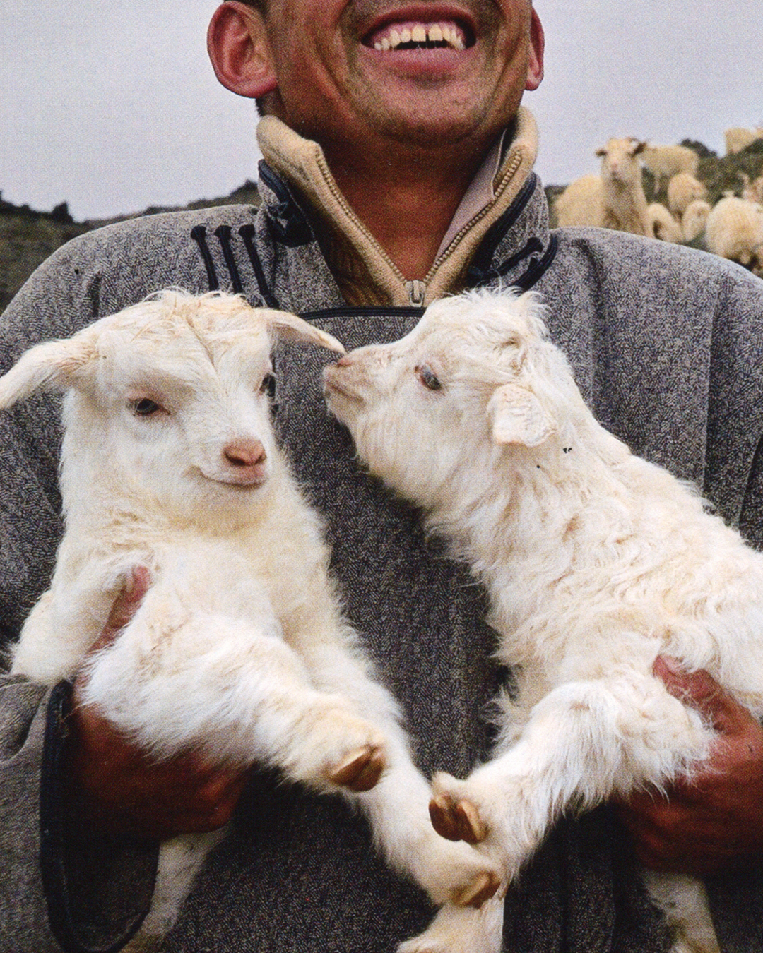 Dormeuil - Brandbook Cowboys agency Paris