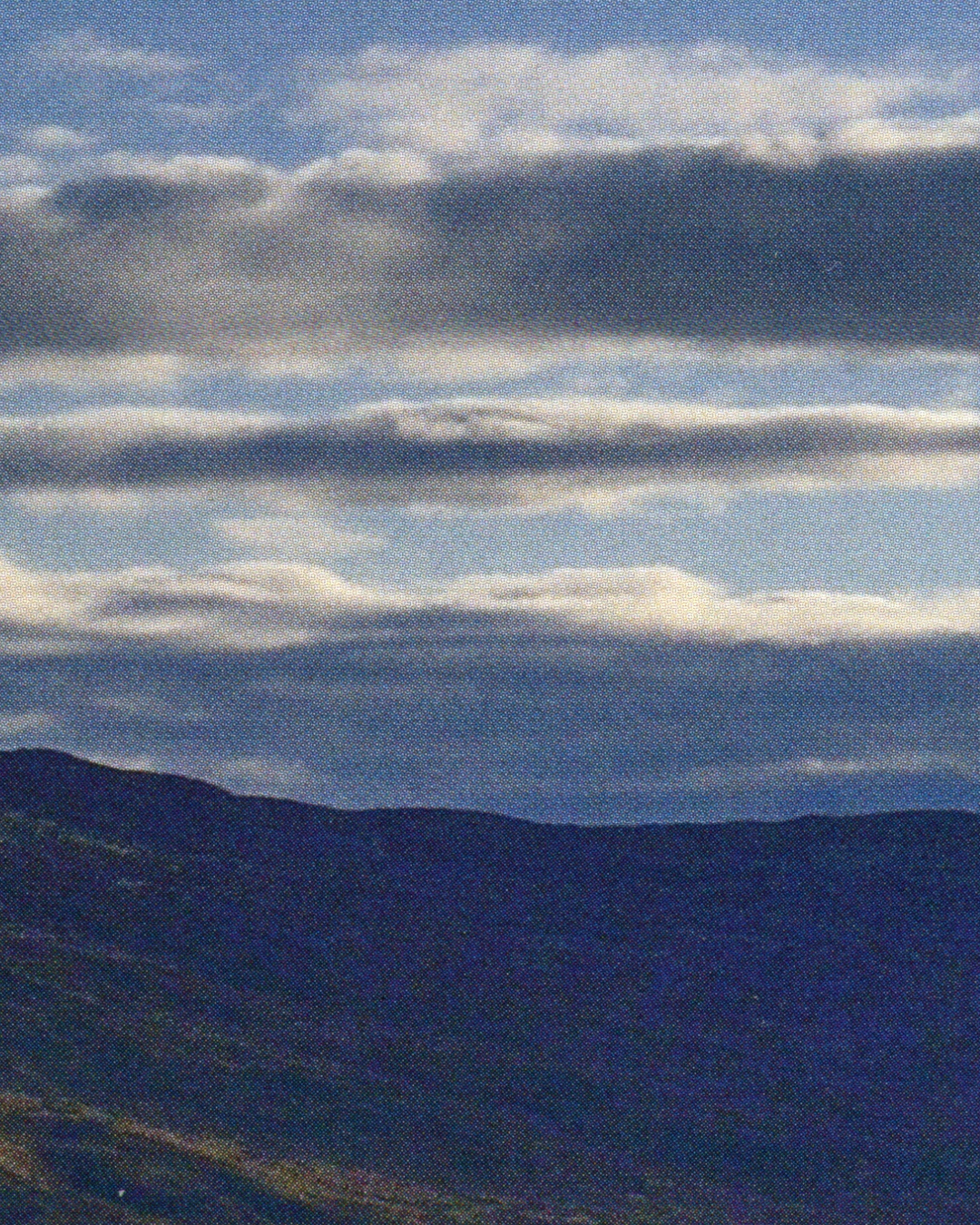 Dormeuil - Brandbook Cowboys agency Paris