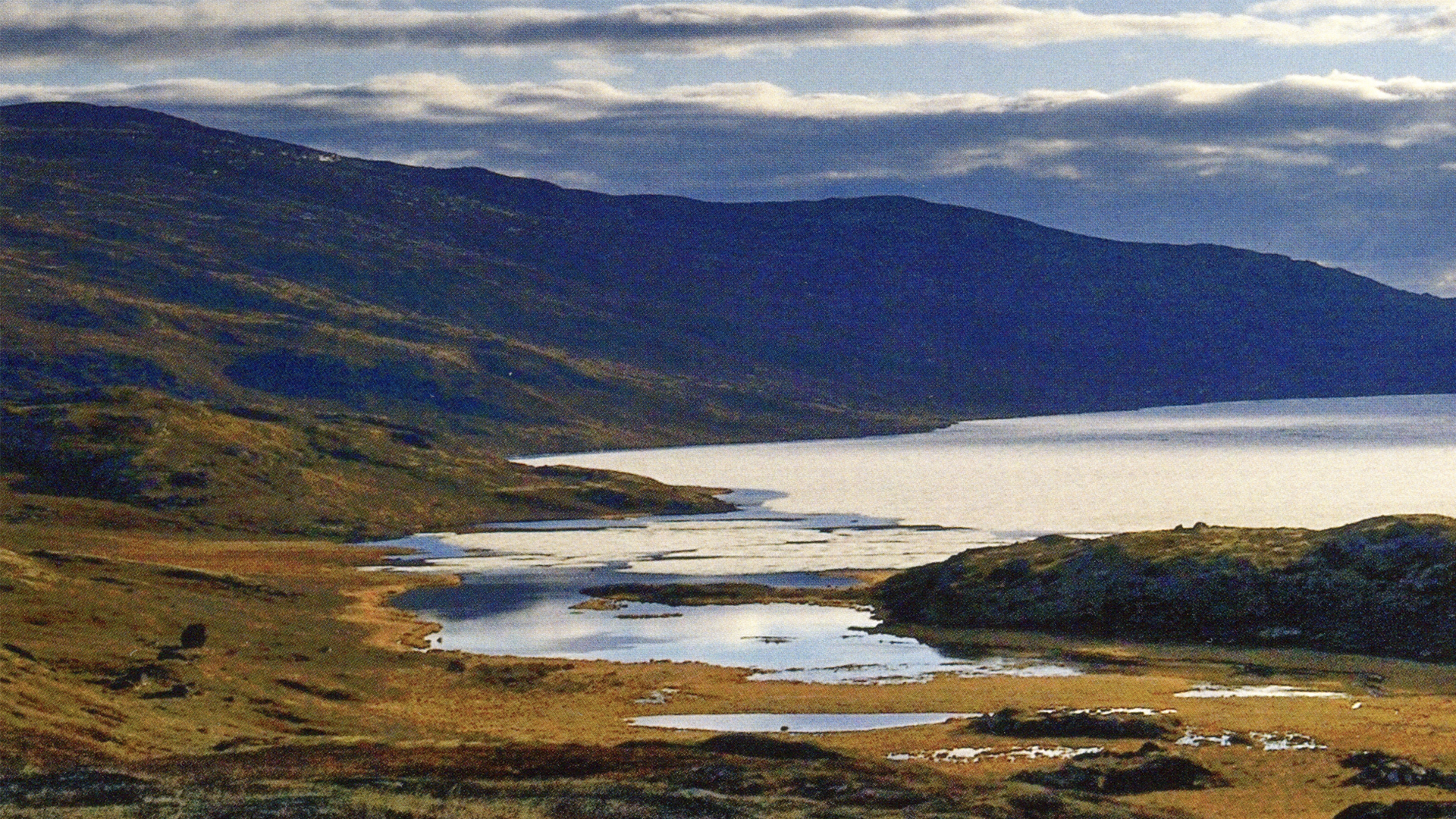 Dormeuil - Brandbook Cowboys agency Paris